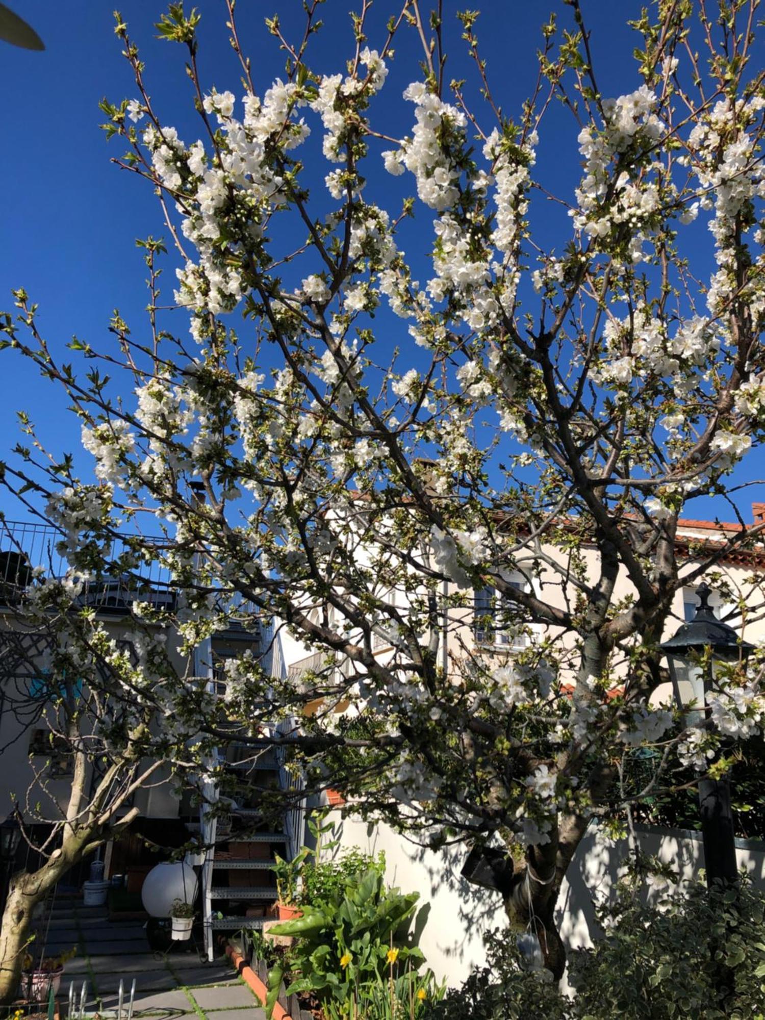 Pavillon Clara Flor Βίλα Prades  Εξωτερικό φωτογραφία